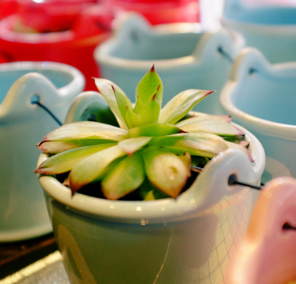 运城现代妇科医院