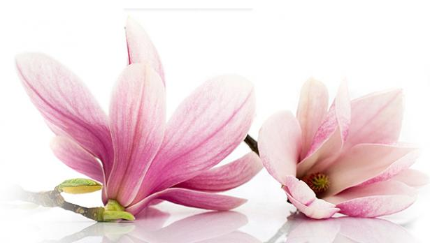 运城现代妇科医院