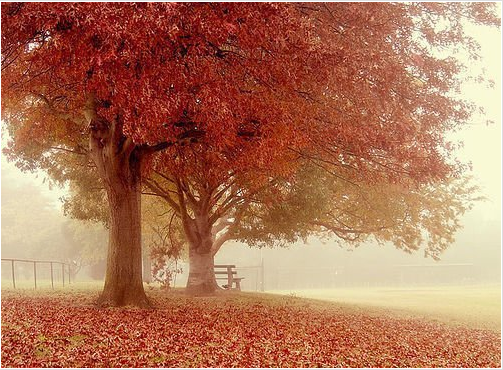 运城现代妇科医院