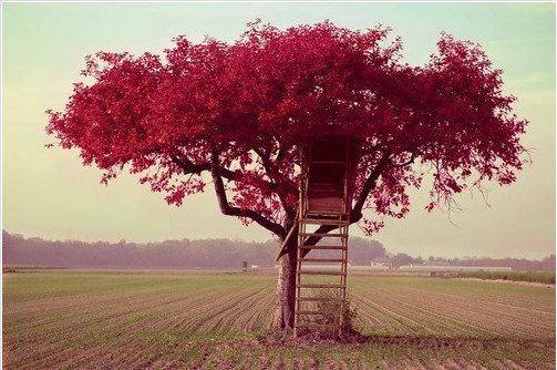 运城现代妇科医院