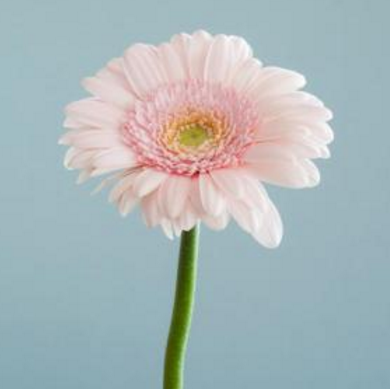 运城现代妇科医院