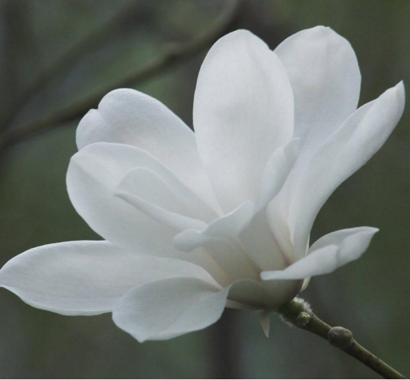 运城现代妇科医院