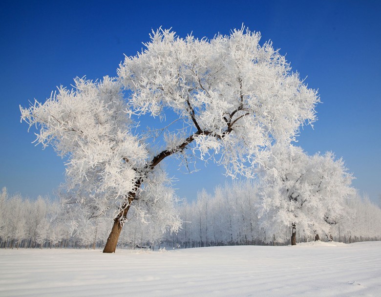 运城做人流好的医院
