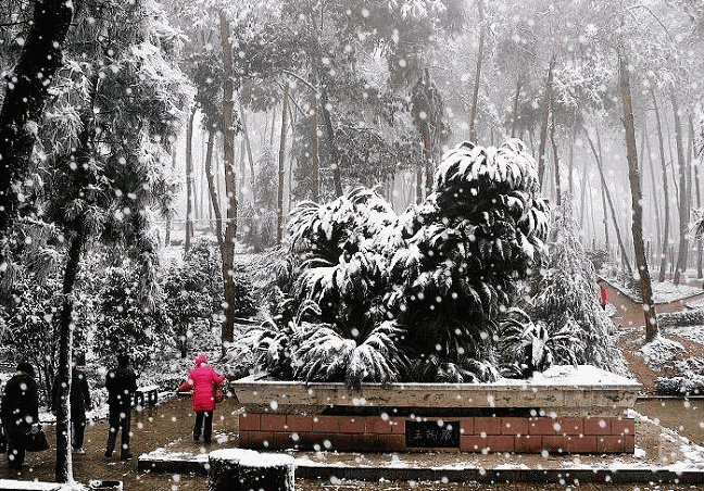 运城治疗月经不调的医院哪好