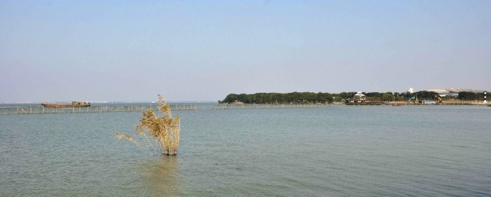 运城哪治疗阴道炎好