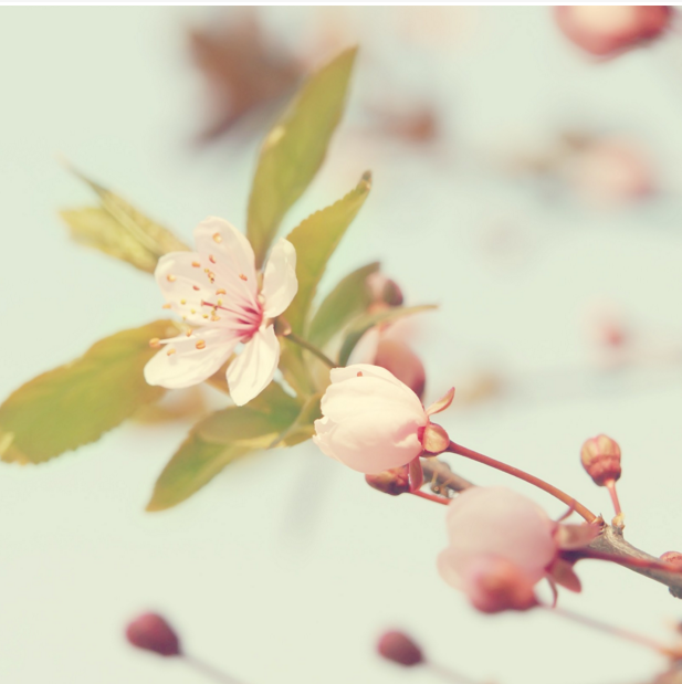 运城来例假有黑色血块怎么回事？