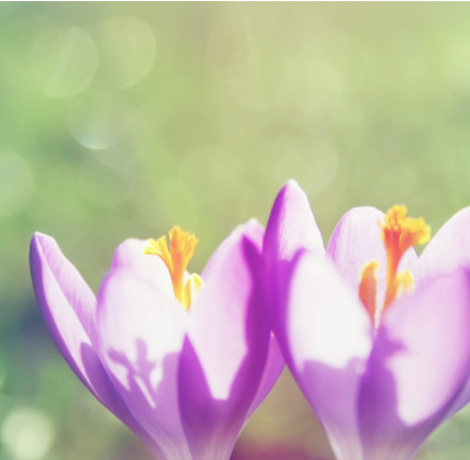 运城现代妇科医院