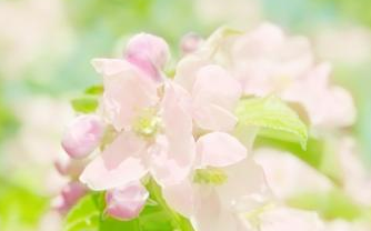 运城现代妇科医院