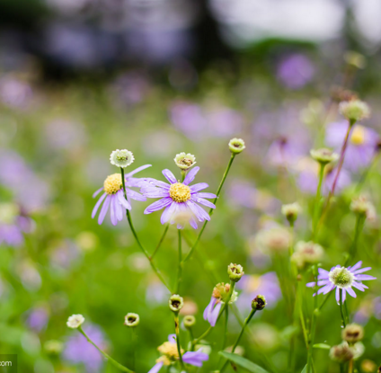 运城月经没来的原因有哪些？