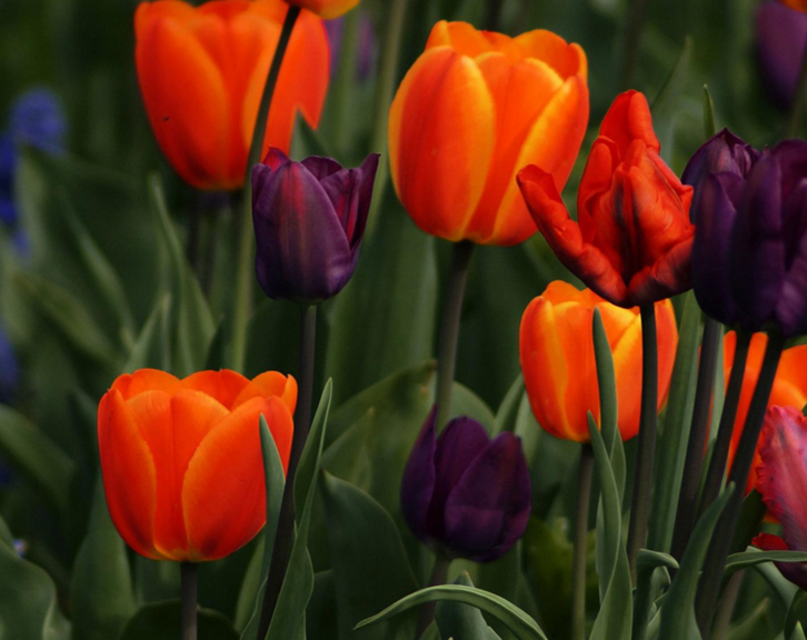 运城怀孕14周可以做人流吗?